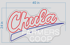 Custom Logo Neon Sign SKE260116