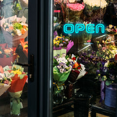 Double Line Open Neon Sign LED Neon Light