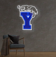 Custom Logo Neon Sign DKR251206