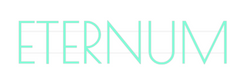 US Custom Text Neon: ETERNUM