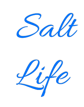 US Custom Text Neon:  Salt
 Life