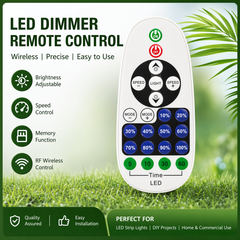 Remote for neon sign